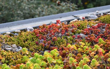 the cost of Flash green roof installation