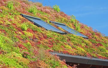 Flash living roof systems